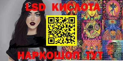 дмт Новодвинск