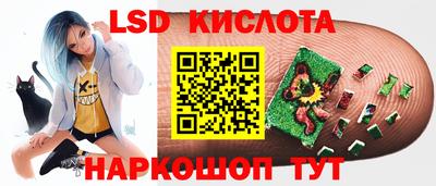шишки Обнинск