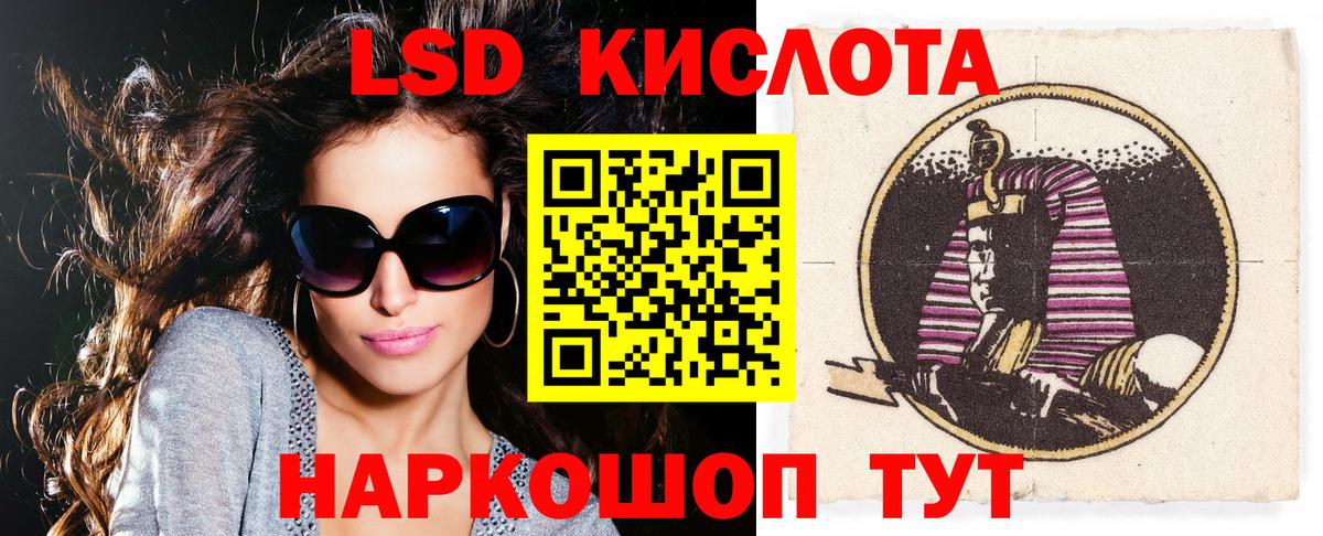Псилоцибиновые грибы Славянск-на-Кубани