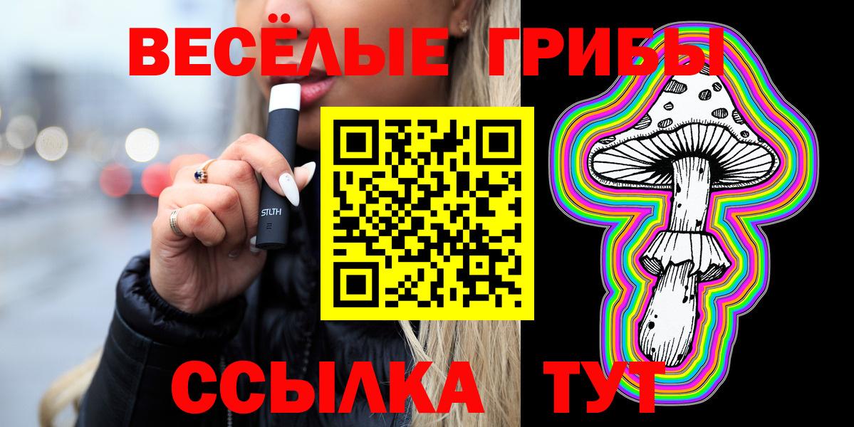 купить  сайты  Вход с VPN  Славянск-на-Кубани  Галлюциногенные грибы Psilocybe 